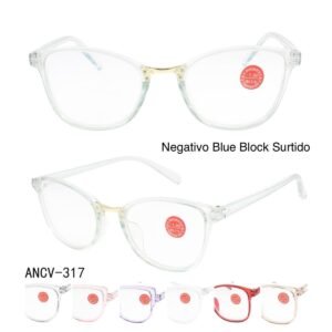 ANCV-317