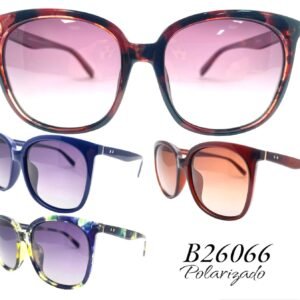 B26066