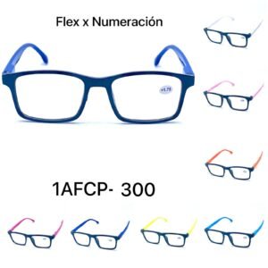1AFCP-300