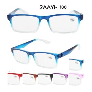 2AAYI-100
