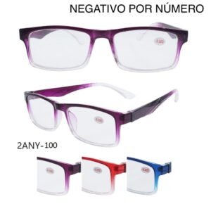 2ANY-100