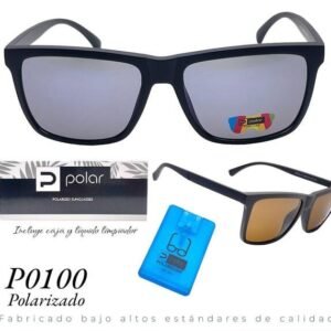 P0100