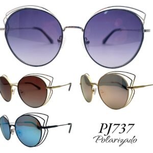 PJ737