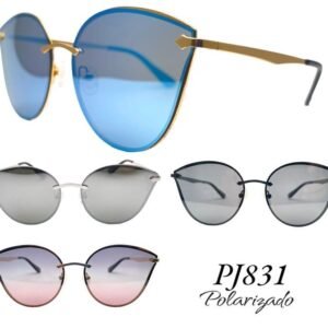 PJ831