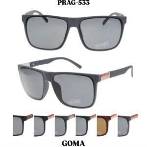 PRAG-533
